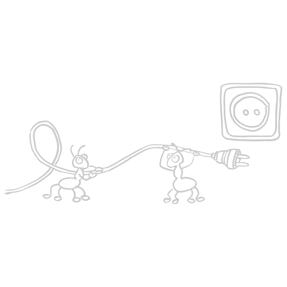 mrówki i kontakt | Chrosiówka noclegi na Mazurach